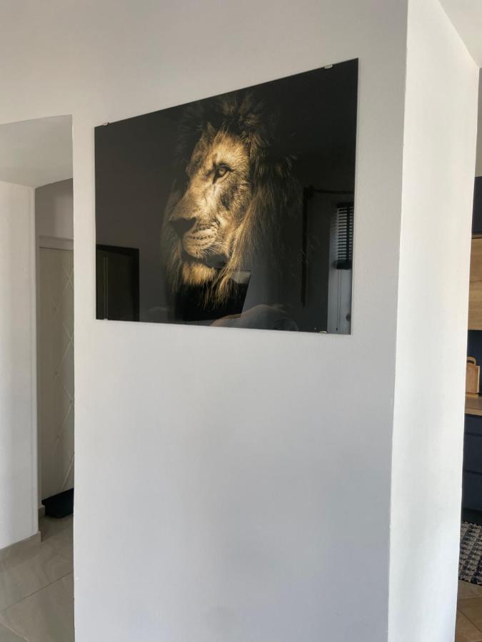 Apartament W Centrum Przy Studni 102M2 Apartment Chelm Bagian luar foto